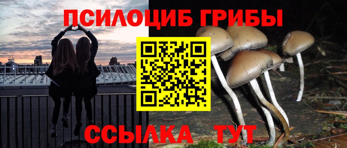 Сокол  Псилоцибиновые грибы мицелий  сколько стоит  Вход с VPN 