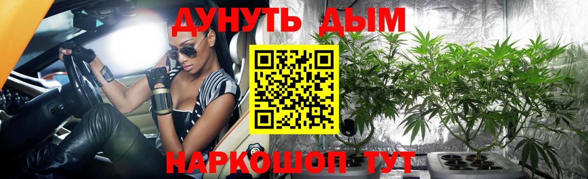 Бошки марихуана тримм  Вход с VPN  Марихуана THC 21%  Бошки Шишки Bruce Banner  Сокол 